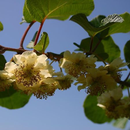 B&B Aan De Burgt Boekel Buitenkant foto