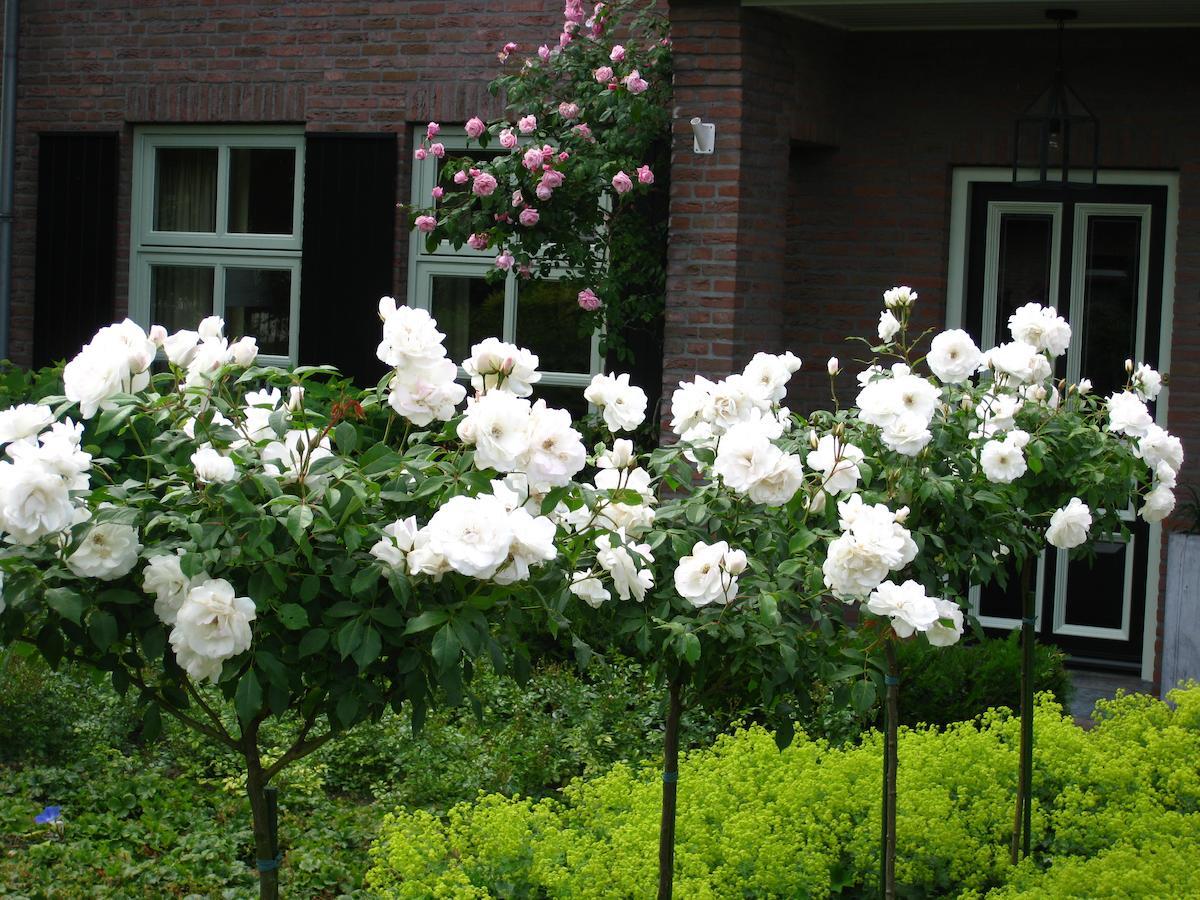 B&B Aan De Burgt Boekel Buitenkant foto