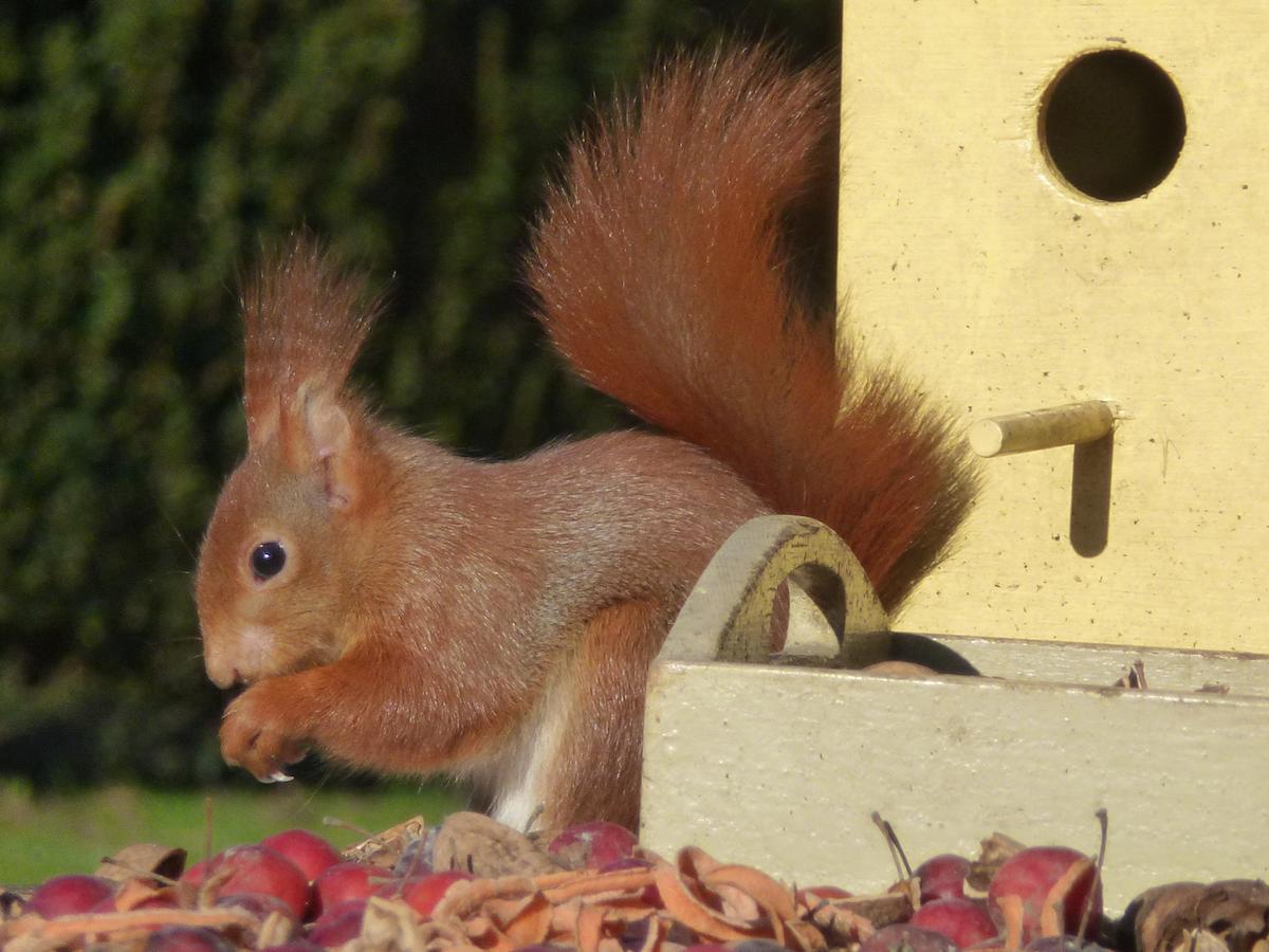 B&B Aan De Burgt Boekel Buitenkant foto