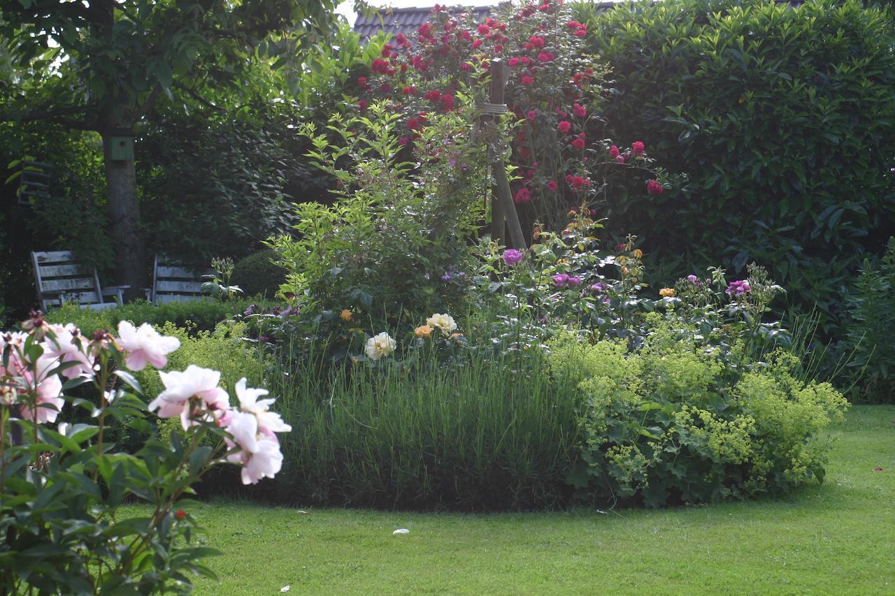 B&B Aan De Burgt Boekel Buitenkant foto